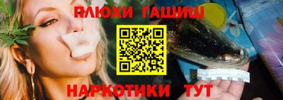 стаф Новодвинск