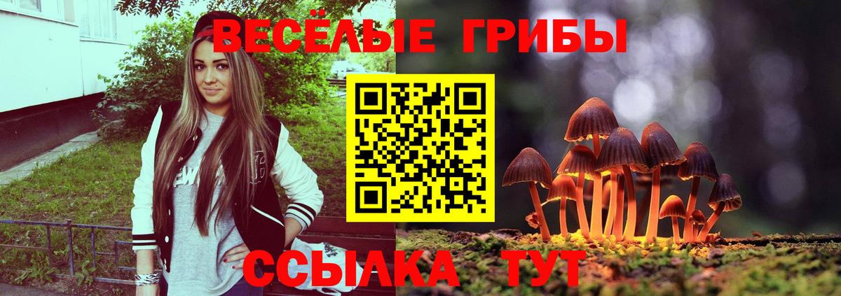 Псилоцибиновые грибы Magic Shrooms Ростов Великий