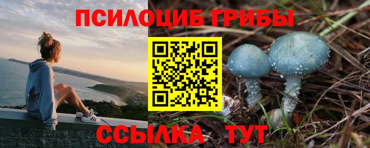 Ростов Великий  Галлюциногенные грибы мицелий  Псилоцибиновые грибы Psilocybine cubensis  Вход с VPN 